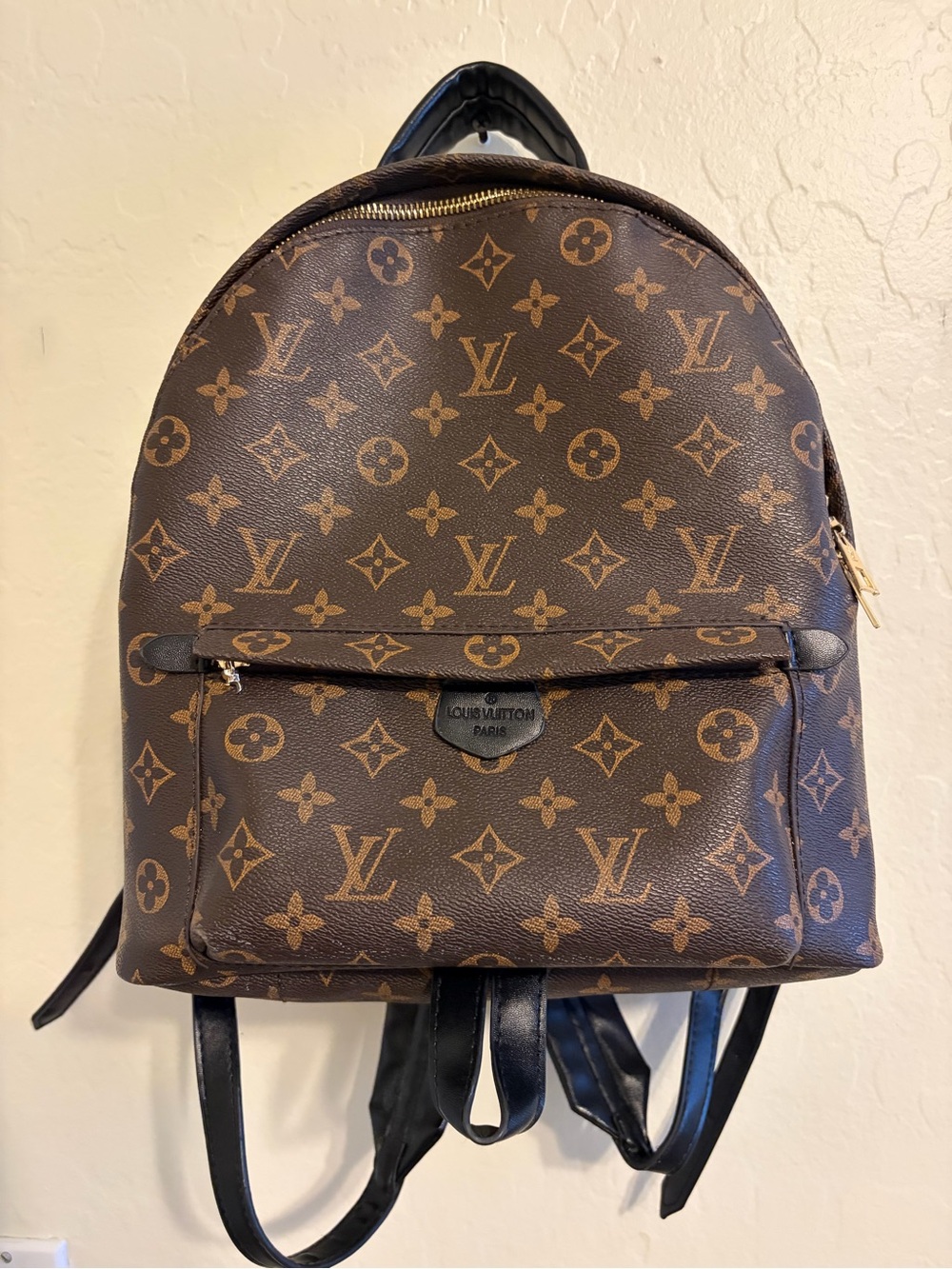Louis Vuitton Monogram Canvas Backpack in Brown and Black